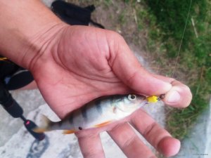 20180703_191847.jpg