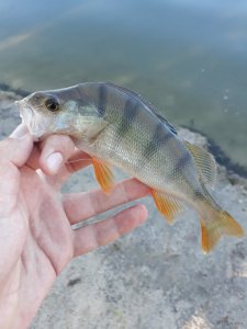 20180703_071717.jpg