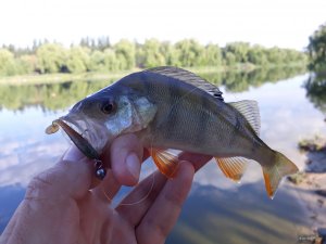 20180703_070836.jpg
