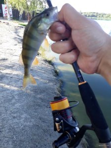 20180703_071854.jpg