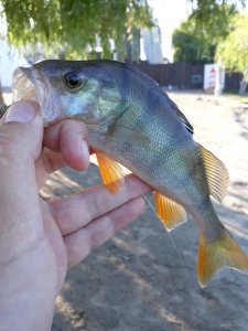 20180703_071727.jpg