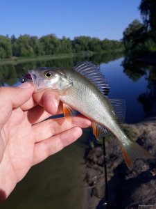 20180703_072503.jpg