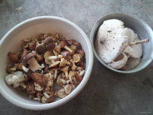 20180705_114731.jpg