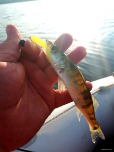 20180629_220752.jpg
