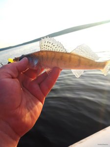 20180629_220738.jpg