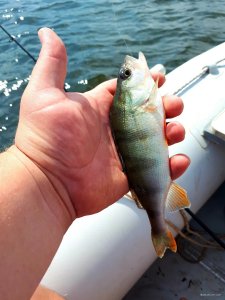 20180706_093154.jpg