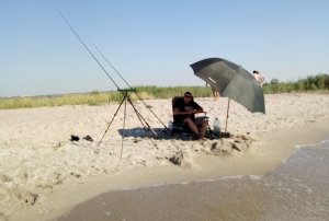 IMG_20180707_084242.jpg
