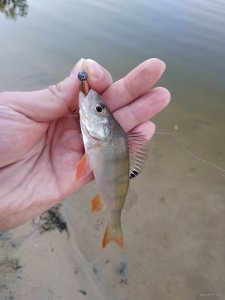 IMG_20180707_064049.jpg