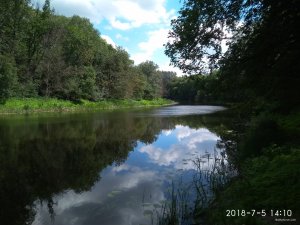 IMG_20180705_141056.jpg