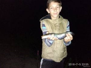 IMG_20180705_222515.jpg