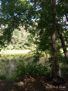 IMG_20180705_154956.jpg
