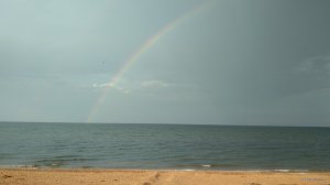 IMG_20180707_185140.jpg