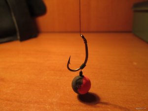 IMG_2627.JPG