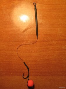 IMG_2630.JPG