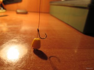 IMG_2635.JPG