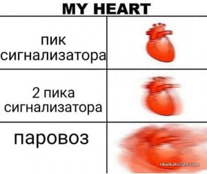 36682125_2045918425471768_7463679637390884864_n.jpg