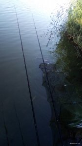 IMG_20180709_054911.jpg