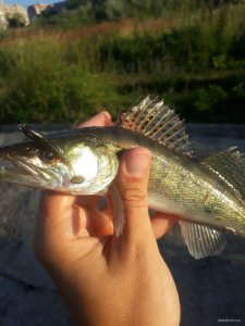 20180710_060653.jpg