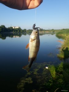 20180710_061037.jpg
