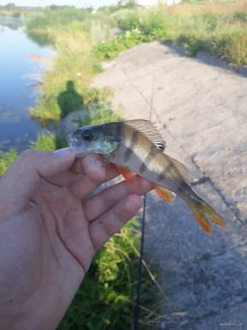 20180710_061412.jpg