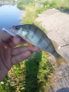 20180710_063202.jpg