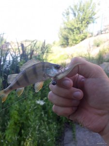 20180710_073145.jpg