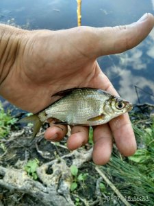 IMG_20180710_163343_HDR.jpg