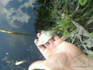IMG_20180710_163351.jpg