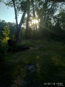 IMG_20180710_190347_HDR.jpg
