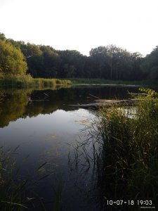 IMG_20180710_190326.jpg