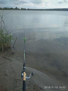 IMG_20180715_165208.jpg