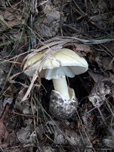 20180712_113652.jpg