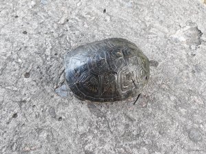 20180709_200207.jpg