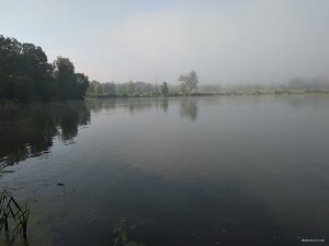 IMG_20180716_064903.jpg