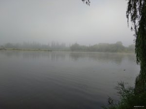 IMG_20180716_064856.jpg