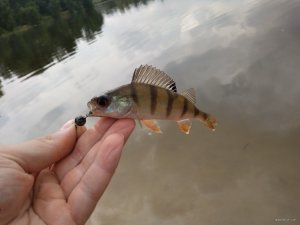 IMG_20180716_095116.jpg