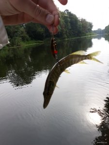 20180715_084242.jpg