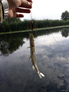 20180715_072612.jpg