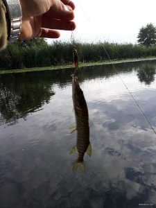 20180715_072615.jpg