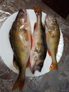 20180715_211616.jpg