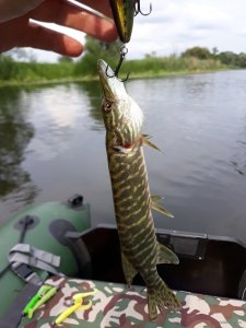 20180715_160453.jpg