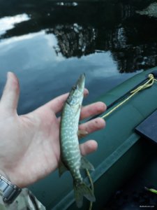 20180715_045833.jpg