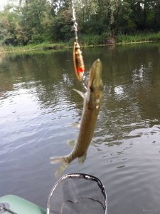 20180715_085201.jpg