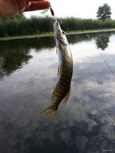 20180715_072623.jpg
