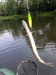 20180715_085159.jpg