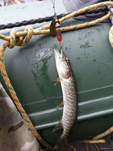 20180715_102140.jpg