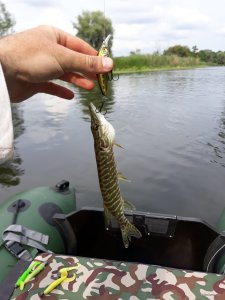 20180715_160455.jpg