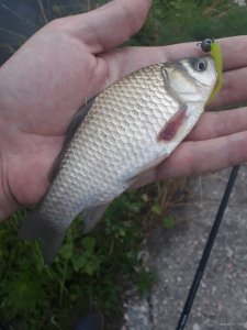 20180715_060608.jpg