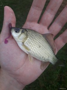 20180715_073714.jpg