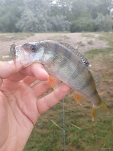 20180715_082033.jpg